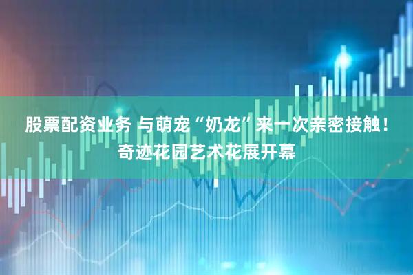 股票配资业务 与萌宠“奶龙”来一次亲密接触！奇迹花园艺术花展开幕